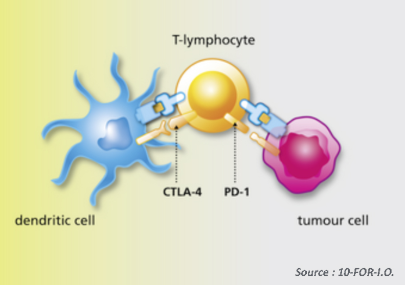 Types of checkpoint inhibitors